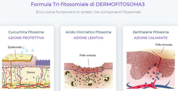 Come funziona il Dermofitosoma 3