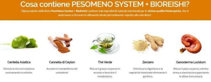 Σύνθεση του συστήματος PESOMENO